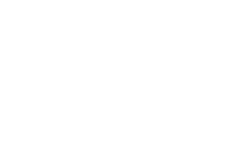 48 in AZ Dance Convention Logo